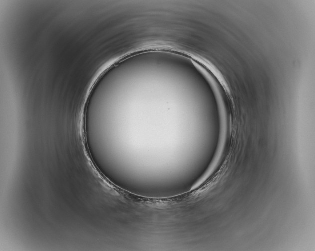 X0000116270815200911301212