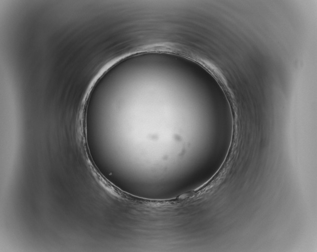 X0000116270816200911301212