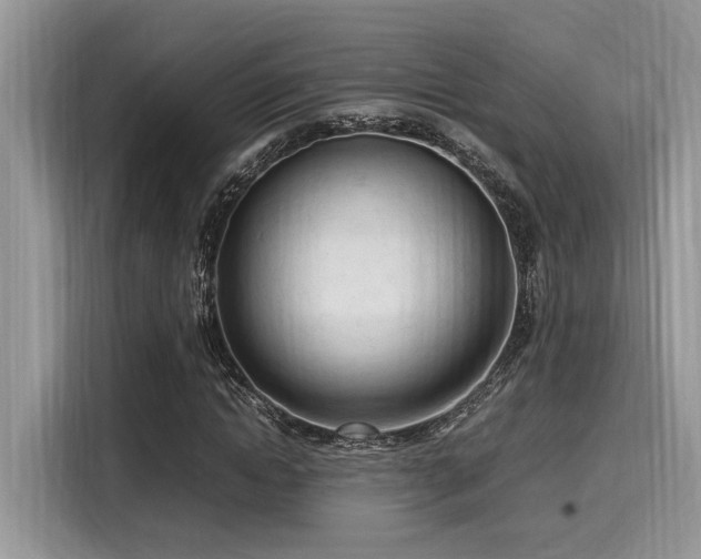 X0000116270822200911301211