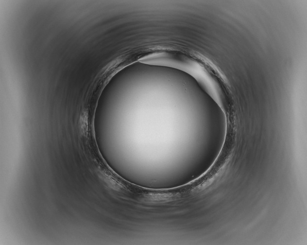 X0000116270825200911301211
