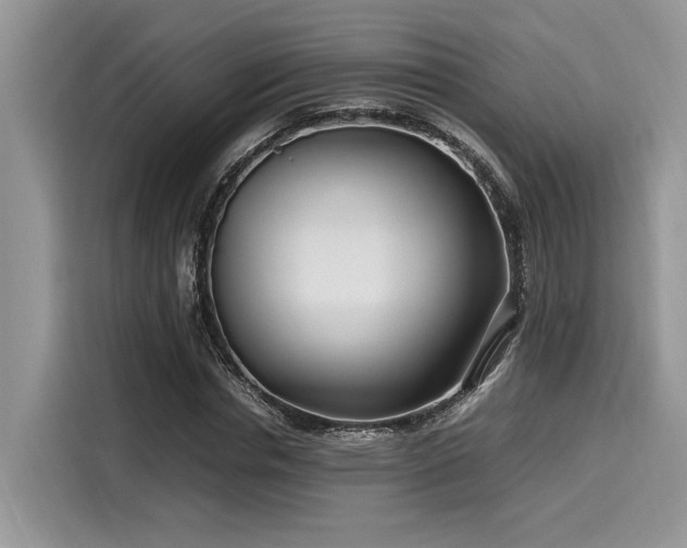 X0000116270826200911301211