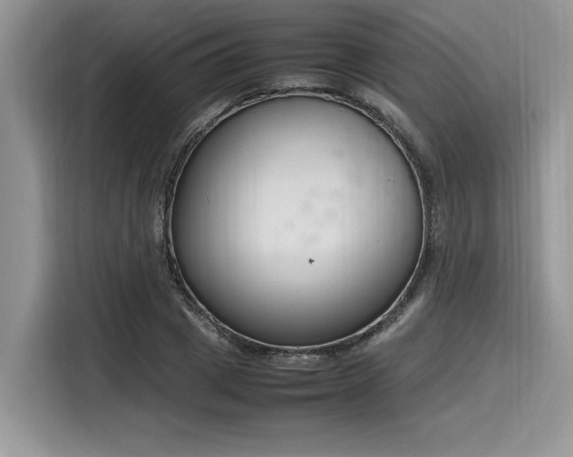X0000116270833200911301211