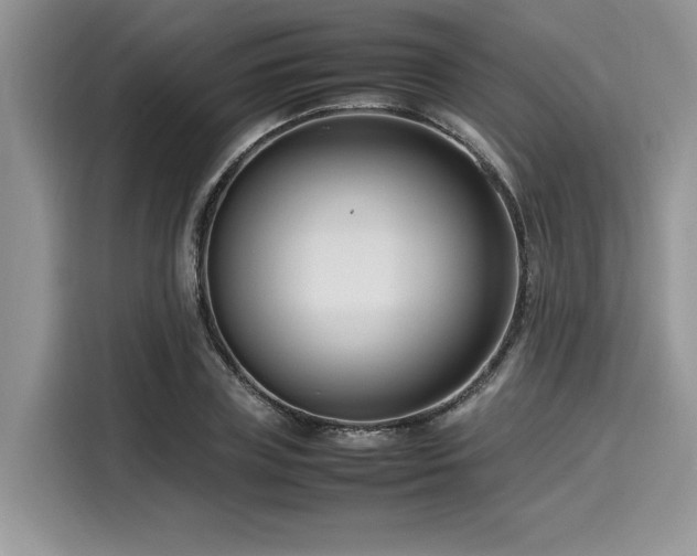 X0000116270835200911301211