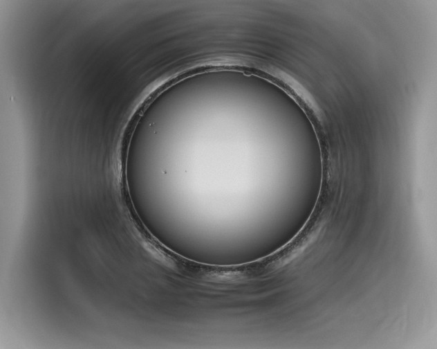 X0000116270837200911301211