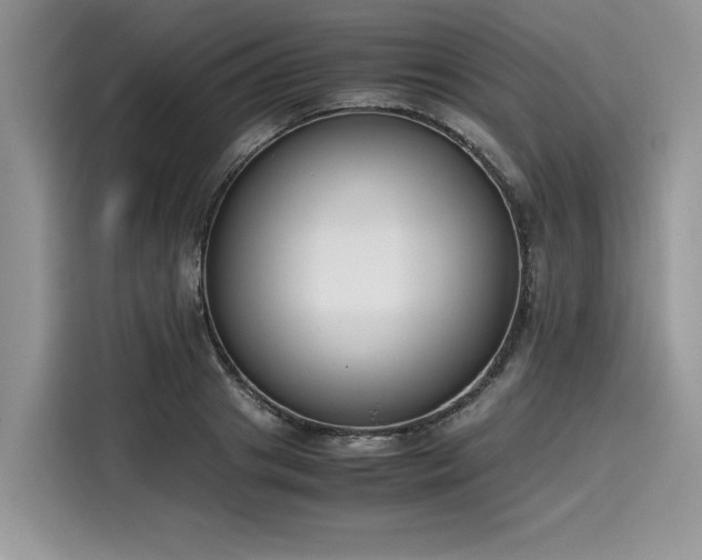 X0000116270841200911301212