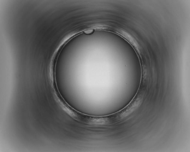 X0000116270843200911301212