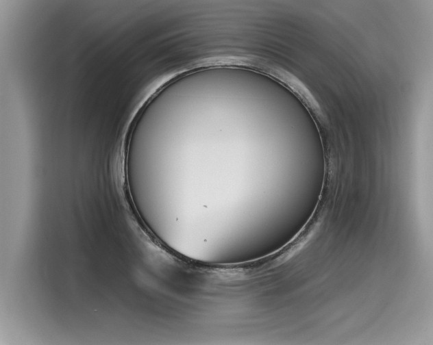 X0000116270844200911301212