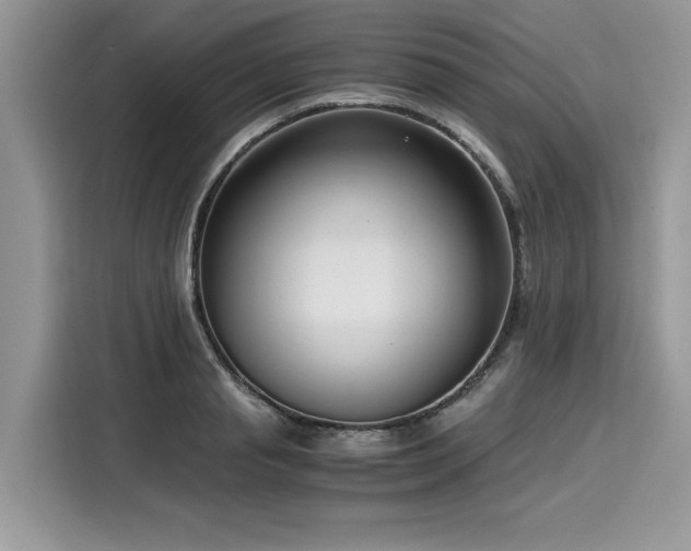 X0000116270845200911301212
