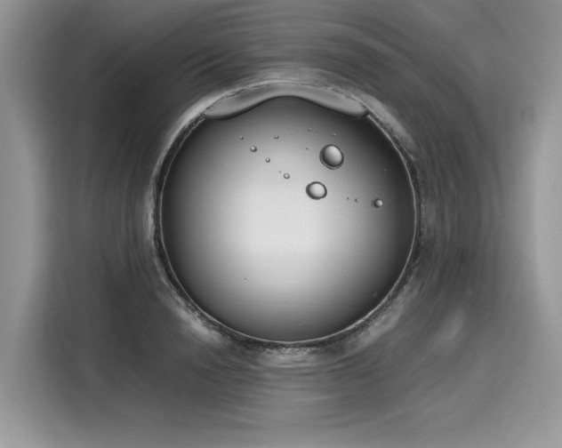 X0000116270846200911301212