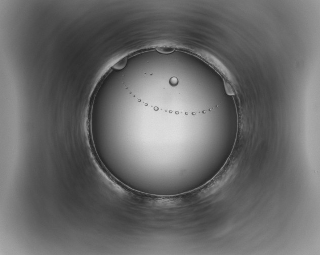 X0000116270847200911301212