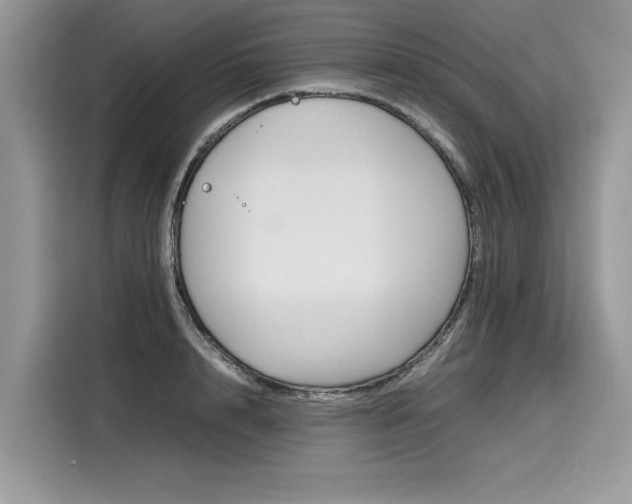 X0000116270848200911301212