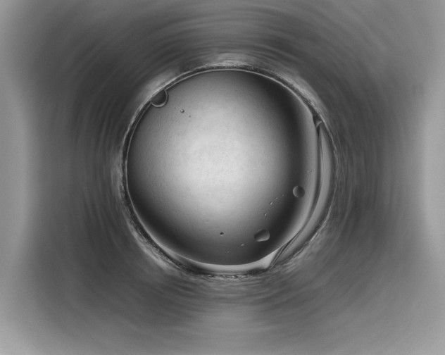 X0000116270850200911301212