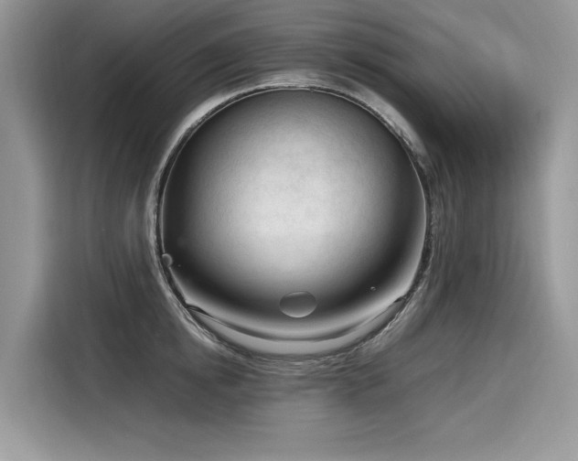 X0000116270854200911301212