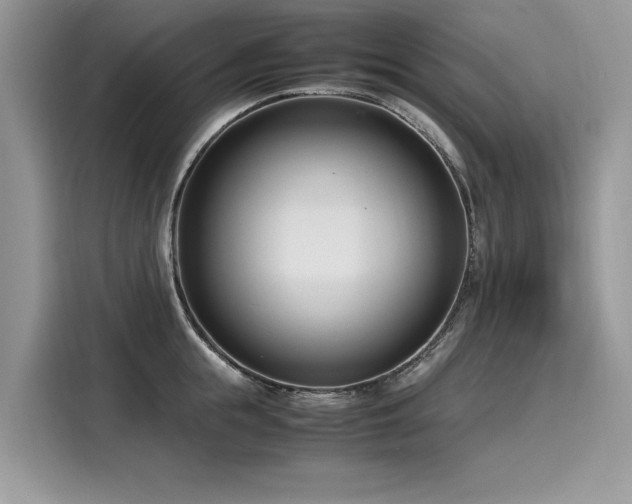 X0000116270855200911301212