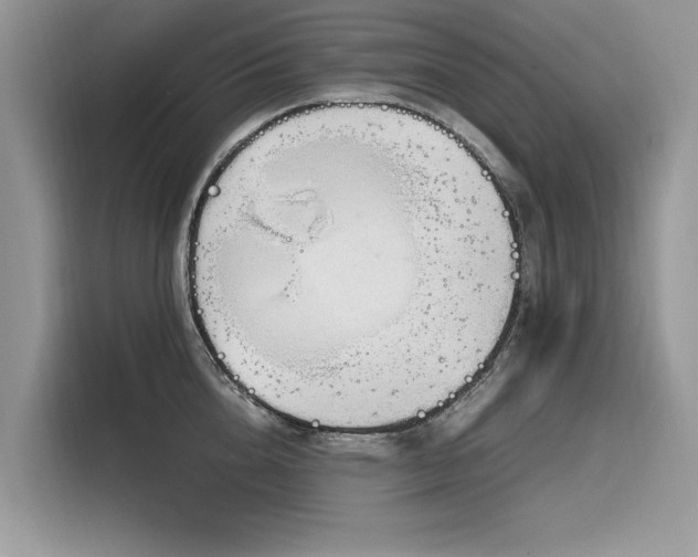 X0000116270856200911301212