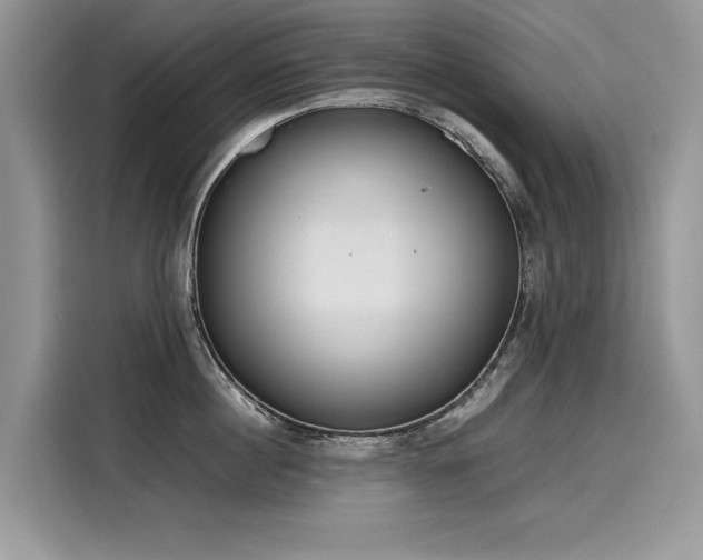 X0000116270860200911301212