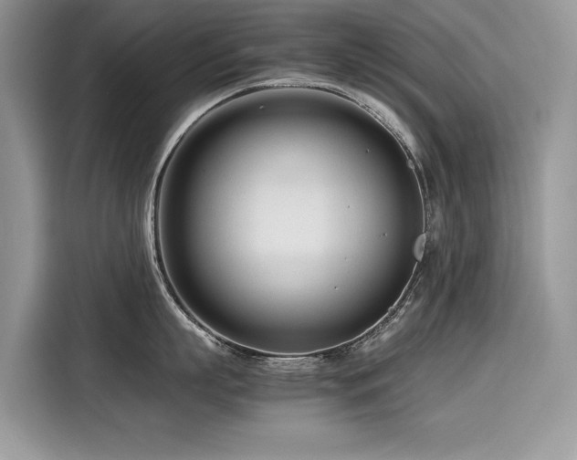 X0000116270863200911301212