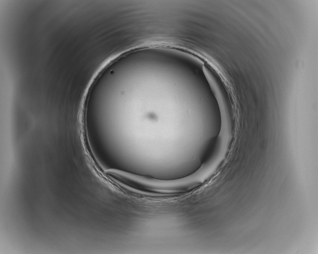X0000116270864200911301212