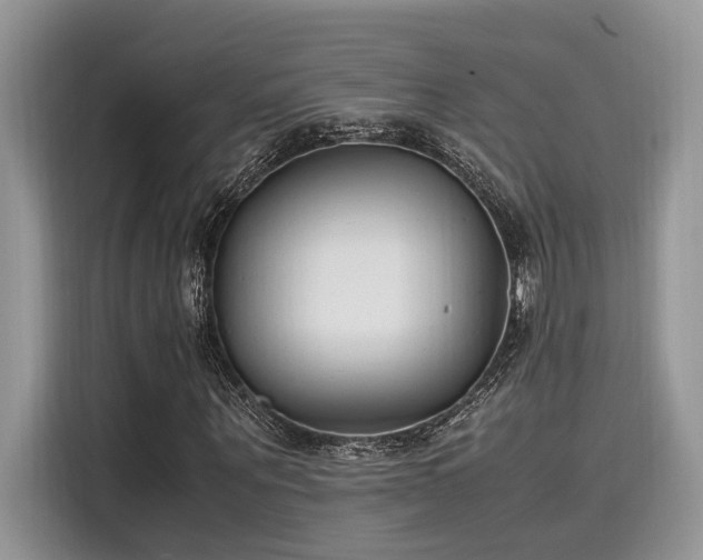X0000116270867200911301211