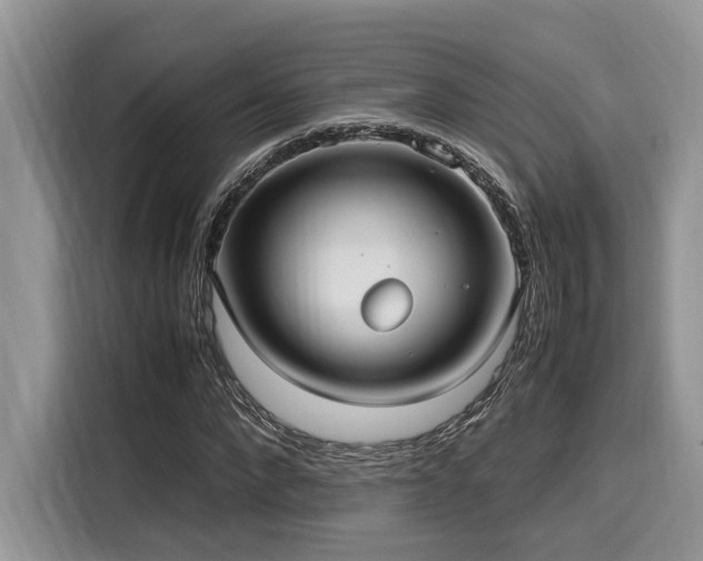 X0000116270872200911301211