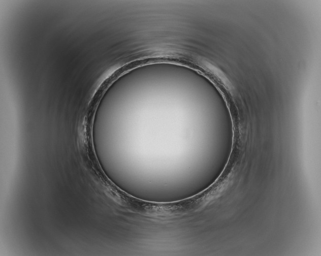 X0000116270875200911301211