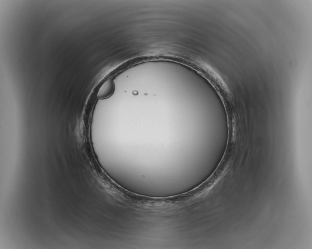 X0000116270876200911301211