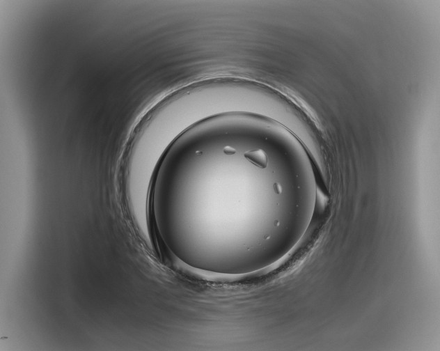 X0000116270877200911301211