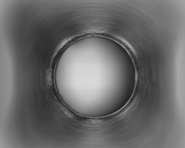 X0000116270878200911301211