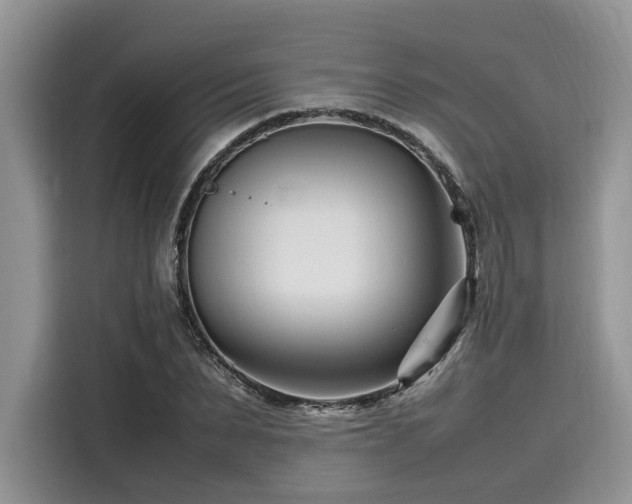 X0000116270879200911301211