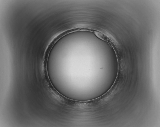 X0000116270880200911301211