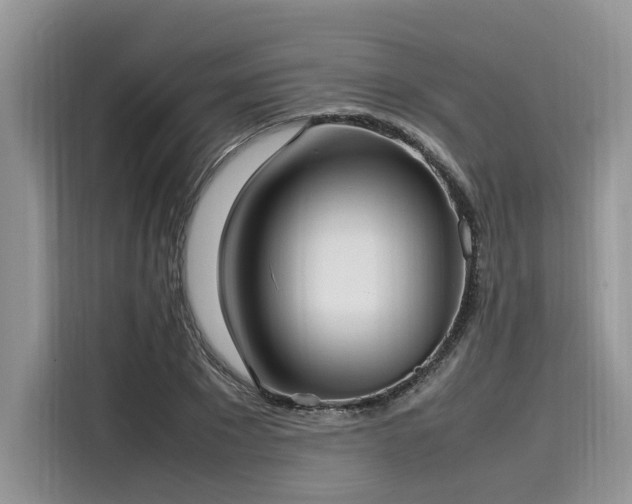 X0000116270881200911301211