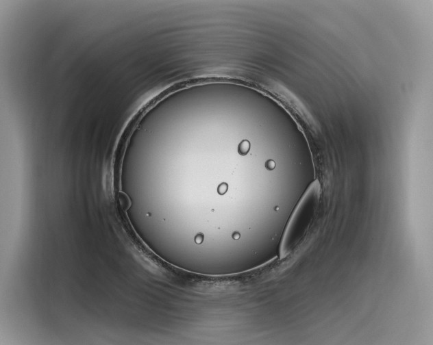 X0000116270884200911301211