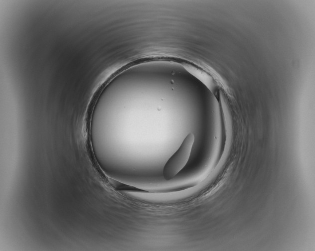 X0000116270885200911301211