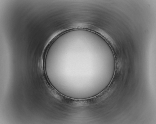 X0000116270886200911301211