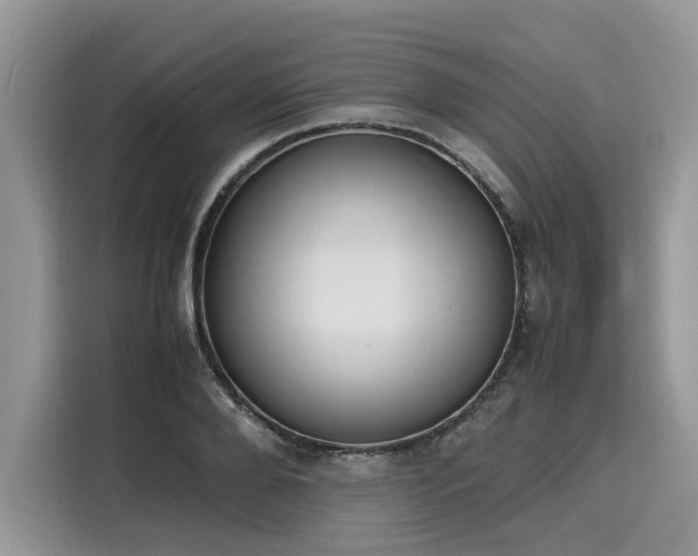 X0000116270888200911301211
