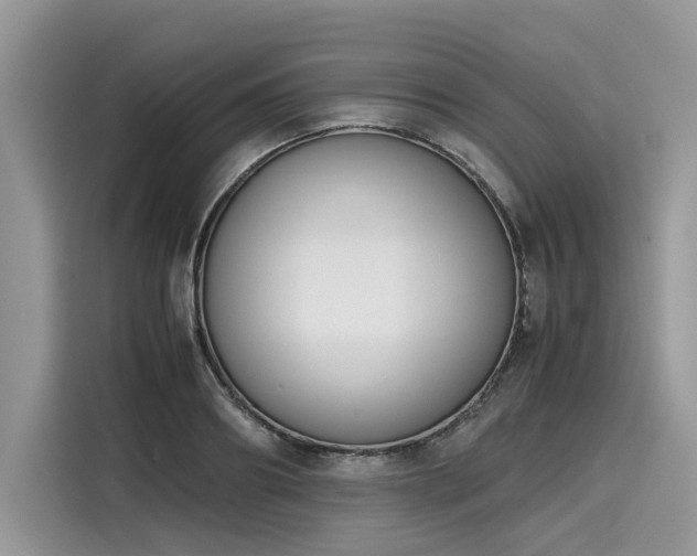 X0000116270890200911301211
