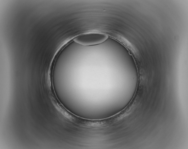 X0000116270892200911301211