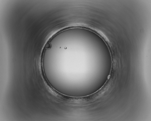 X0000116270895200911301211