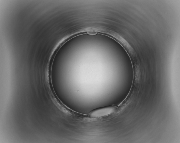 X0000116270896200911301211