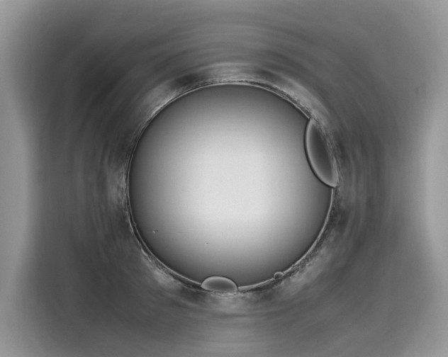 X0000116270897200911301211