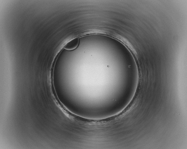 X0000116270898200911301211