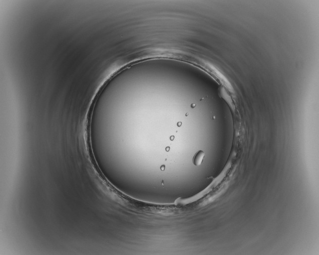 X0000116270899200911301211