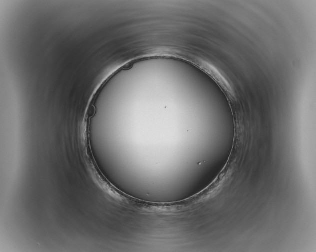 X0000116270900200911301211