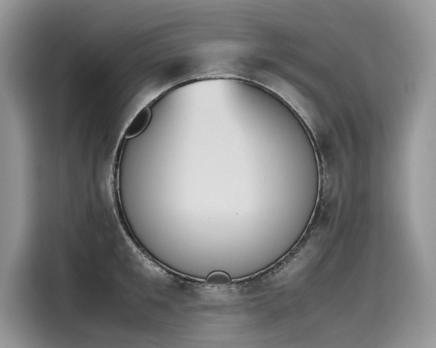 X0000116270901200911301211