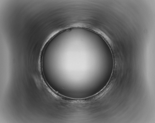 X0000116270902200911301211