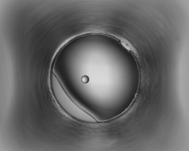X0000116270904200911301211