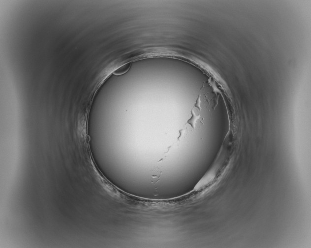 X0000116270905200911301211