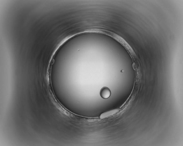 X0000116270908200911301211