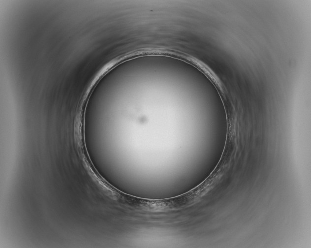 X0000116270911200911301211