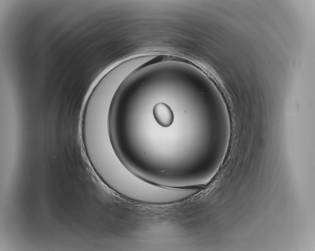 X0000116270912200911301211